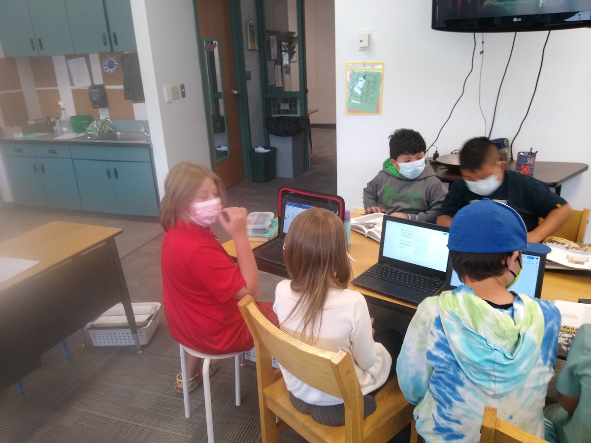 TwinterSSD's tweet image. Collaborative learning! @CrysLaneMiller #scoveel