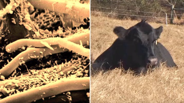 Natural Resources Conservation Service tweet media