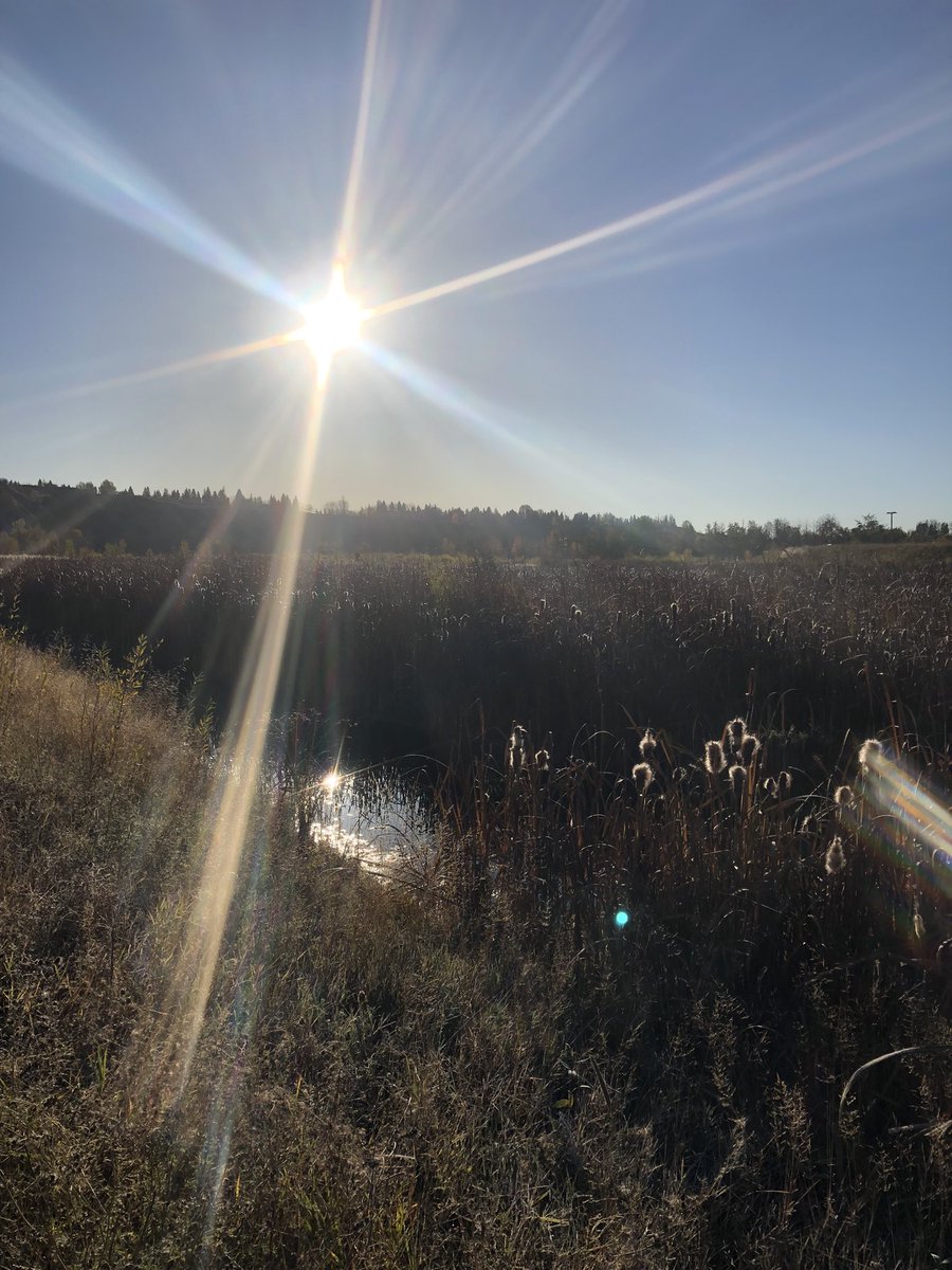 wtlc_wolves's tweet photo. Before we dig into our data to set our School Development Plan goals, @wtlc_kings, @DGTS_Tigers and @ChildMntlHealth met on the land to gather in a gratitude circle. #PlaceToBelong #WeAreCBE https://t.co/4vrVAXY2cc