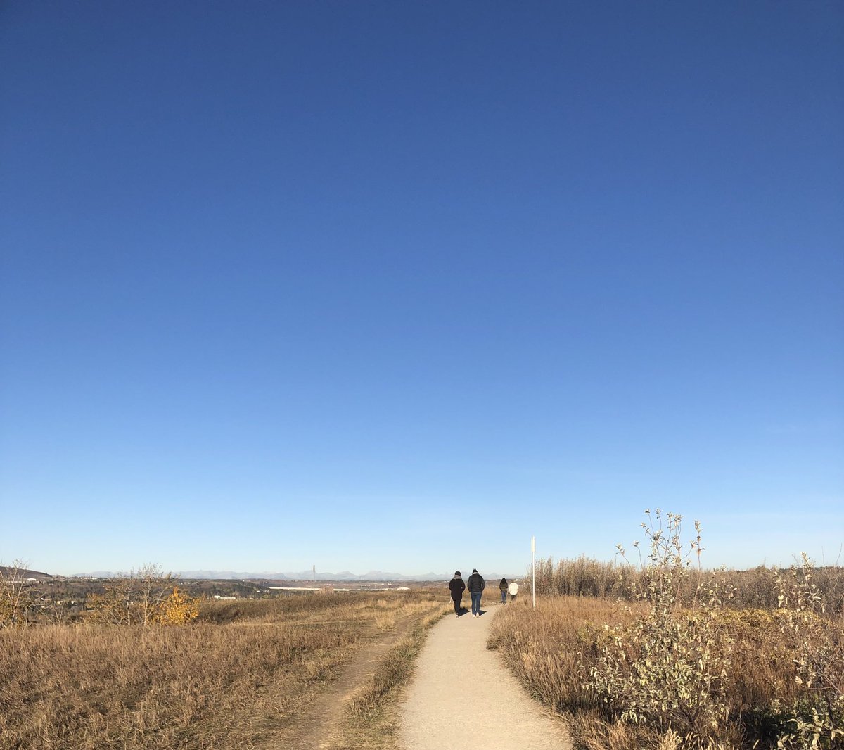 wtlc_wolves's tweet photo. Before we dig into our data to set our School Development Plan goals, @wtlc_kings, @DGTS_Tigers and @ChildMntlHealth met on the land to gather in a gratitude circle. #PlaceToBelong #WeAreCBE https://t.co/4vrVAXY2cc