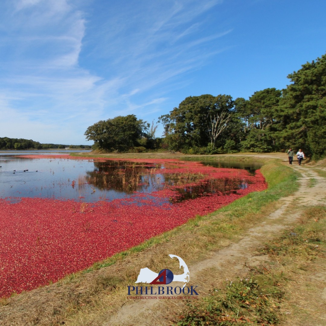 PhilbrookCC's tweet image. Have a great long weekend. 
#CapeCodFall #CapeCod #CranberryBog