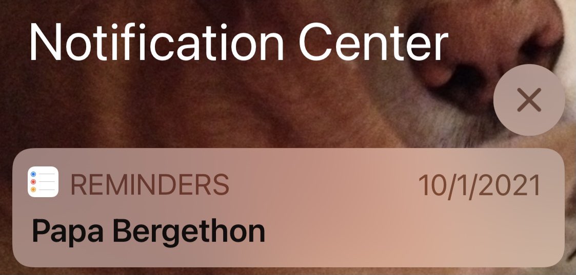 This is what happens when you ask Siri to send you a reminder for an idea for next year’s Ergathon. 🤦🏻‍♀️