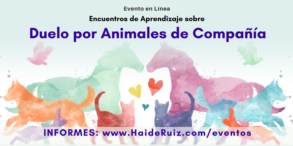 HaideRuizMVZ's tweet photo. ¡Abrimos NUEVO grupo! Gran oportunidad para aprender sobre un tema importantísimo para todos los que amamos a nuestros animalitos. 
Toda la información actualizada en el siguiente enlace: https://t.co/xVtXTtunaV https://t.co/ifAgCNP7mc