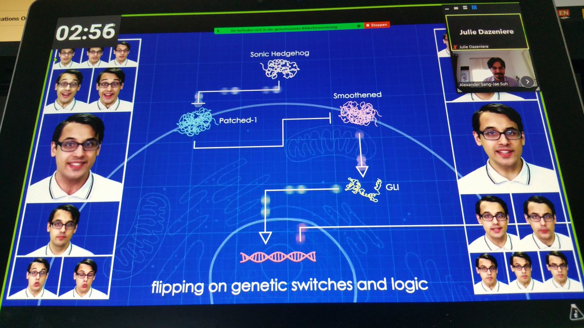 alexander_suh's tweet image. ... #UppTransposon2021

Day 2 short breaks:
1. Evo-Devo youtube.com/watch?v=ydqRee…
2. Jump around youtube.com/watch?v=MdxCfA…
3. Pogo youtube.com/watch?v=cZvt23…

Maybe we&apos;ll see some transposon dance moves at the in-person #UppTransposon2022 meeting?
