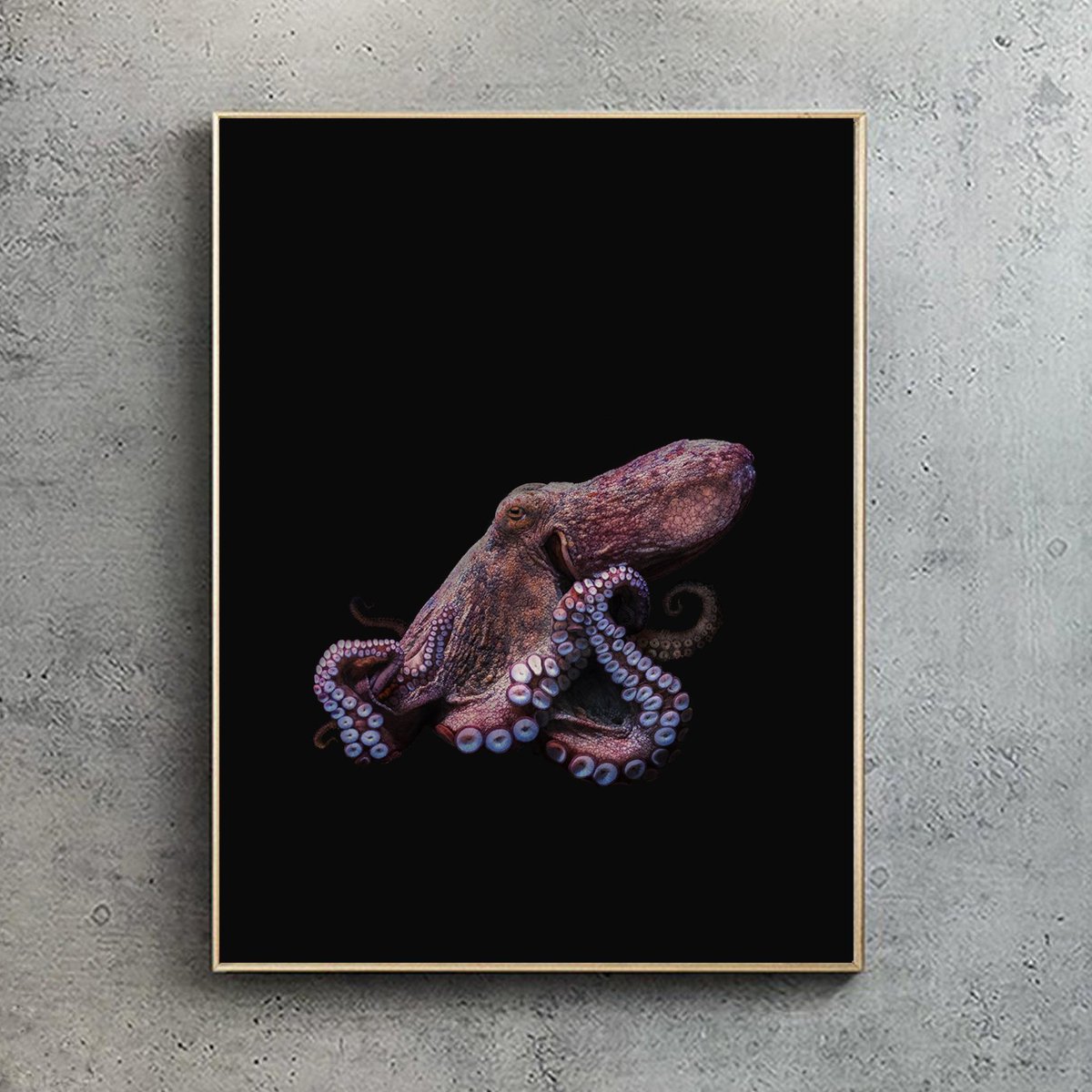 BRillustrations's tweet photo. Artwork is from my book #HiddenPlanet and is also available in print form from my website.
https://t.co/jW5IS8659F https://t.co/CdYbPiK5Pj