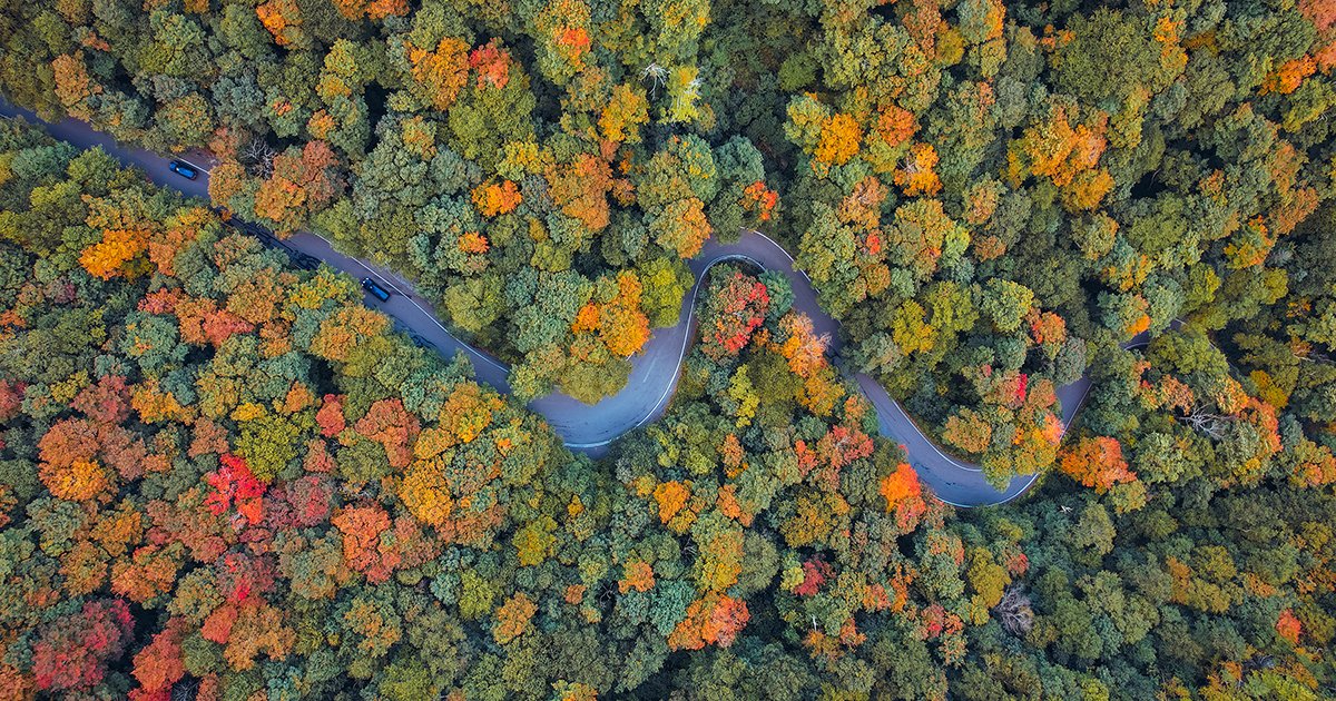 UVM_Alumni's tweet photo. This foliage weekend will be one for the record books. In case you can't be here, we wanted to share out the beauty and wonder of Vermont this fall.

#uvmalumni #fallfoliage #thisisvermont https://t.co/lPQ9eb2skm