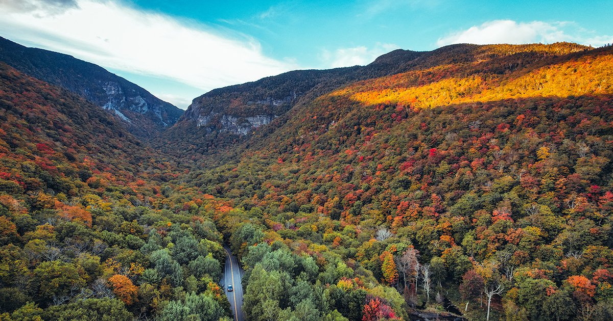UVM_Alumni's tweet photo. This foliage weekend will be one for the record books. In case you can't be here, we wanted to share out the beauty and wonder of Vermont this fall.

#uvmalumni #fallfoliage #thisisvermont https://t.co/lPQ9eb2skm