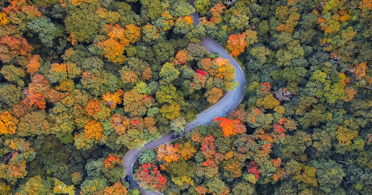 UVM_Alumni's tweet photo. This foliage weekend will be one for the record books. In case you can't be here, we wanted to share out the beauty and wonder of Vermont this fall.

#uvmalumni #fallfoliage #thisisvermont https://t.co/lPQ9eb2skm