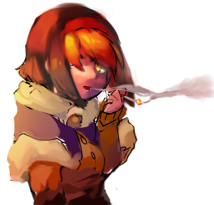 やさぐれドードー概念 