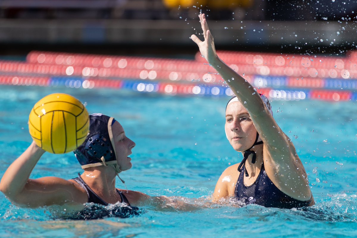 cdmaquatics's tweet photo. Sea Queens are back!  Getting ready for season! #waterpolo #girlswaterpolo #cdmpride https://t.co/wEdHskCufO