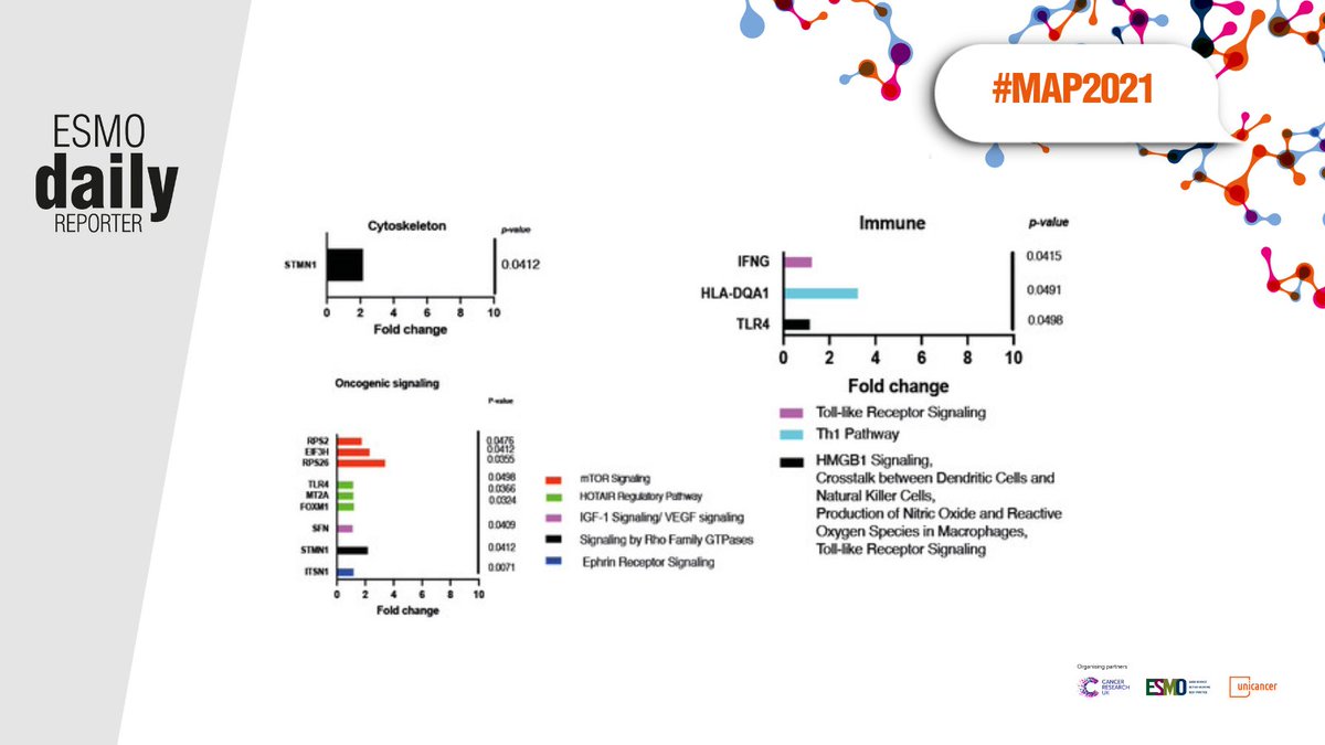 myESMO's tweet photo. #MAP2021: How can #exosome research improve patient managemt? As literature on exosomes continues to grow in #cancer #basicscience, important questions remain on opportunities in the clinic
https://t.co/4WbWKjjl88
@GroupeUNICANCER @CRUKresearch #precisiononcology @ChristianRolfo https://t.co/pwljmvWQut