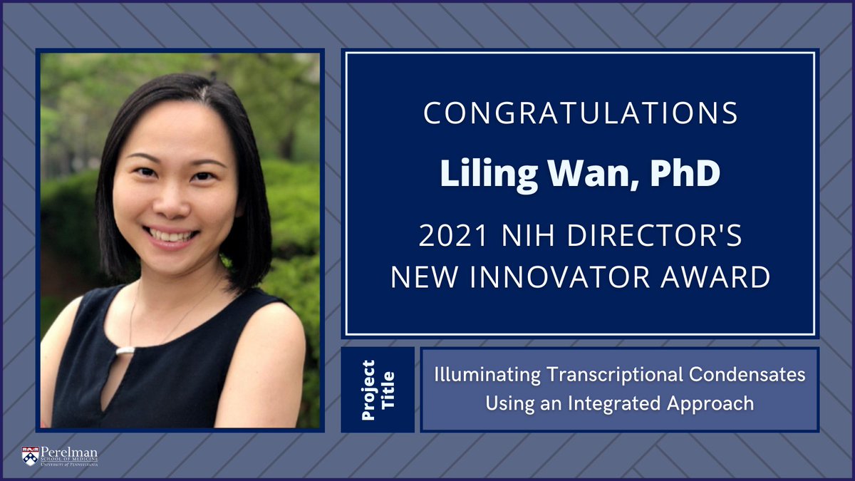 Penn Medicine CSO (@pennmedcso) on Twitter photo Congratulations to <a href="/LilingWanLab/">Liling Wan</a> (<a href="/Penn_CBIO/">Univ. of Pennsylvania Department of Cancer Biology</a>/ <a href="/PennCancer/">Penn Medicine - Abramson Cancer Center</a>/ <a href="/PennEpiInst/">Penn Epigenetics</a>/ <a href="/IRM_UPenn/">Institute for Regenerative Medicine</a>), recipient of the @NIHDirector's New Innovator Award!🎉 Learn more about Dr. Wan's project bit.ly/3lgVVIF and research interests here bit.ly/3Aig8SL #NIHHighRisk Congratulations to <a href="/LilingWanLab/">Liling Wan</a> (<a href="/Penn_CBIO/">Univ. of Pennsylvania Department of Cancer Biology</a>/ <a href="/PennCancer/">Penn Medicine - Abramson Cancer Center</a>/ <a href="/PennEpiInst/">Penn Epigenetics</a>/ <a href="/IRM_UPenn/">Institute for Regenerative Medicine</a>), recipient of the @NIHDirector's New Innovator Award!🎉 Learn more about Dr. Wan's project bit.ly/3lgVVIF and research interests here bit.ly/3Aig8SL #NIHHighRisk