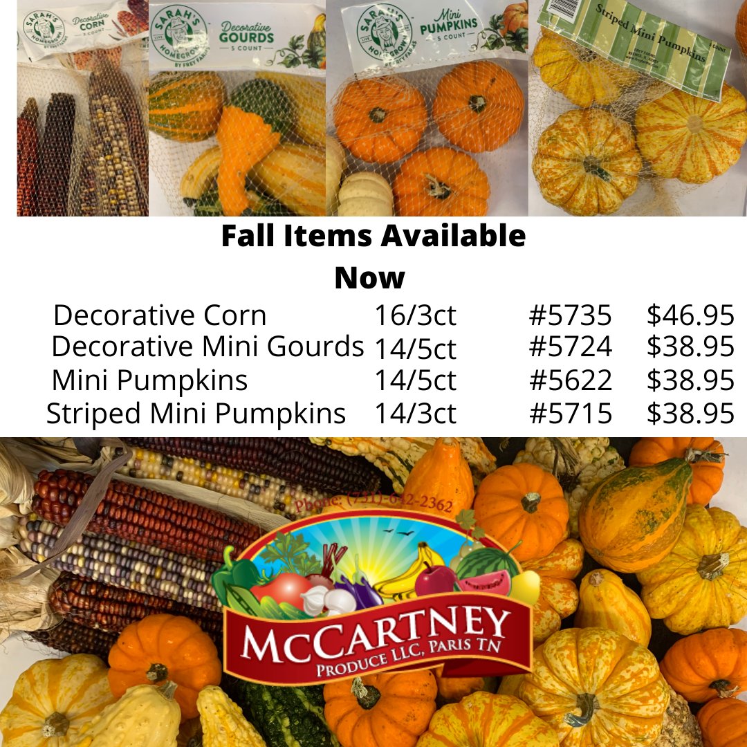 McCartneyFresh's tweet image. Fall Decor Items - mailchi.mp/2d30711de07b/f…