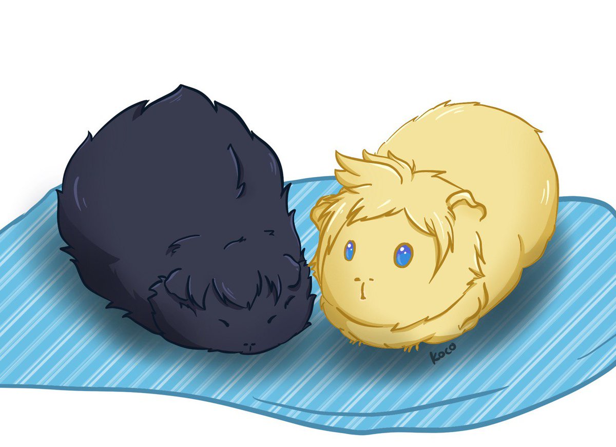 Needed to draw the piggle bois again. They are floofy potatoes taking a rest ❤ #ffxv #guineapigs