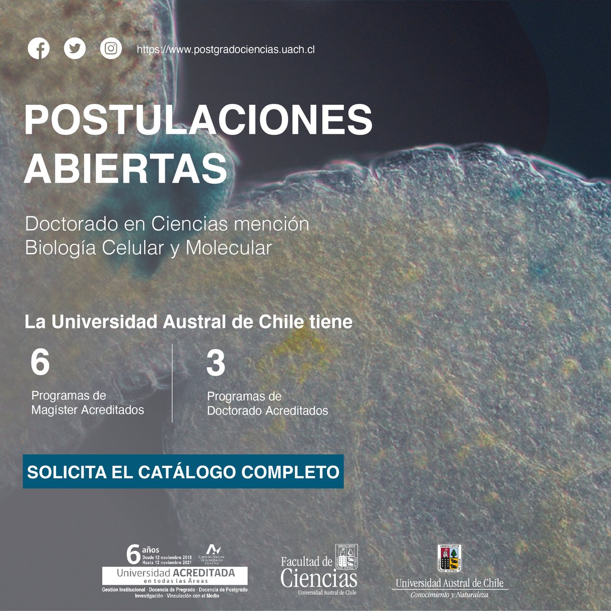 Descentralizar parte por casa. Qué esperas? Ven a hacer tu doctorado con nosotros <a href="/UAustraldeChile/">Universidad Austral de Chile</a> <a href="/cienciasuach/">Facultad de Ciencias, UACh</a> <a href="/fac_uach/">Difusion.Ciencias.UACh</a> en #Valdiviacl la ciudad cervecera 🍺, la ciudad de los ríos 💜👩‍🔬🧑‍🎓👨‍💻

<a href="/ilonaconcha/">Ilona Concha-Grabinger</a> <a href="/munivaldivia/">MuniValdivia</a> <a href="/JavierCanalesC1/">Javier Canales Castañeda</a>  <a href="/LeylaCardenasT/">LEYLA CARDENAS TAVIE</a> <a href="/Barney_san/">Sandra Cifuentes</a>
