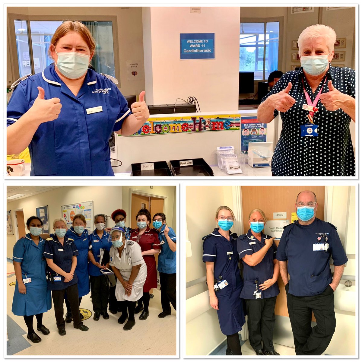 Tracey Fenwick 💙 tweet media