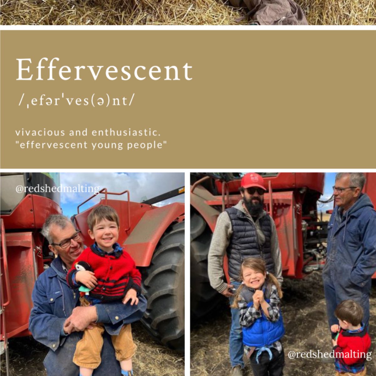 redshedmalting's tweet photo. Get Out and Play at Your Local Farm-
https://t.co/ROVwG3pqMz
There are some familiar faces in the September-October 2021 Issue!
Check out this great publication that brings consumers and agriculture together. ❤️
#redshedmalting #minifarmers #AgTwitter
https://t.co/kuSlhfPLRa https://t.co/oUU5BiCiZx