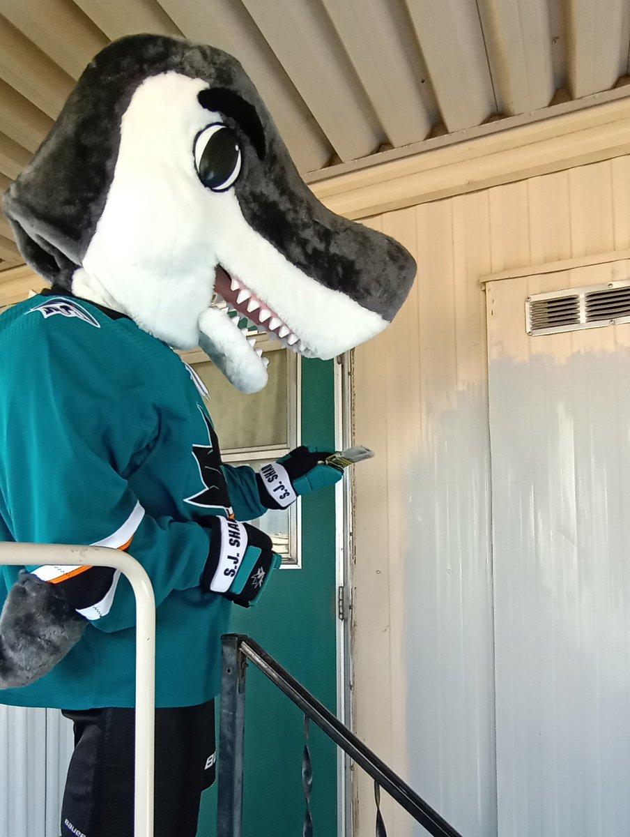 sjsharkie's tweet photo. Today I - along with the #SharksFoundation and #RebuildingTogether - helped make vital repairs for a 75 year old homeowner in Morgan Hill, giving her a better quality of life.
@SanJoseSharks @sjscommunity @RTSiliconValley #TealTogether #SharksTerritory https://t.co/chz3ZHeXj4