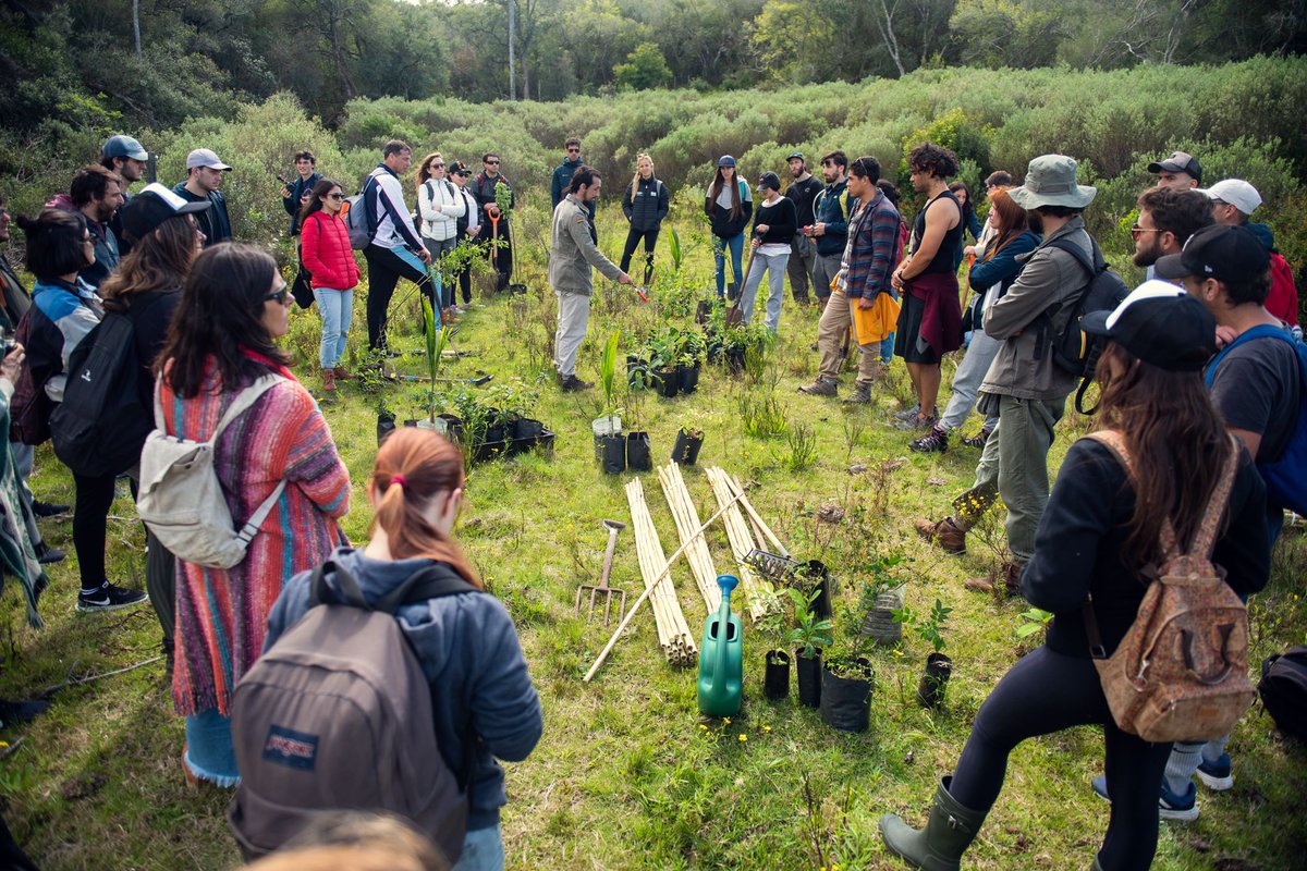 4Dlabuy's tweet photo. La era de la regeneración ha comenzado 🌱 gracias #ReImpulso por generar estas instancias! @magdalenacosco estuvo el finde pasado ahí 🥰✨
Estas son algunas fotos de lo que fue la primera experiencia de plantación de árboles nativos en las Sierras de las Ánimas 🌷😊 https://t.co/Q72Dd1sdez