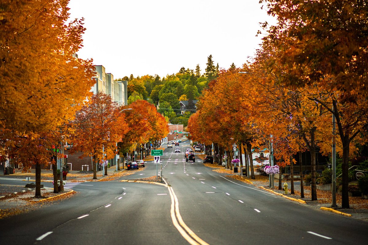 Welcome Home, Cougs!