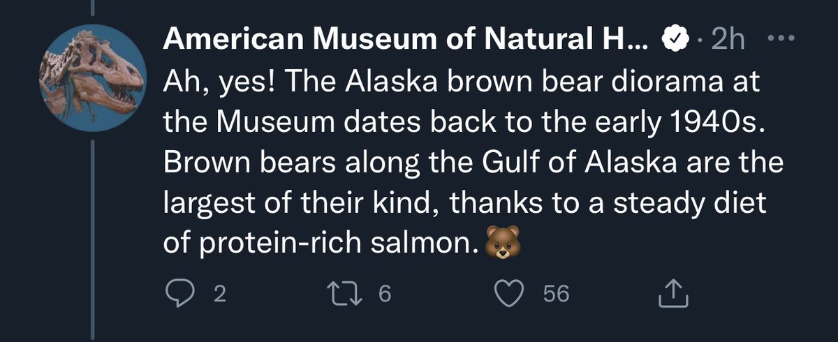 The bear is an American. Figures.