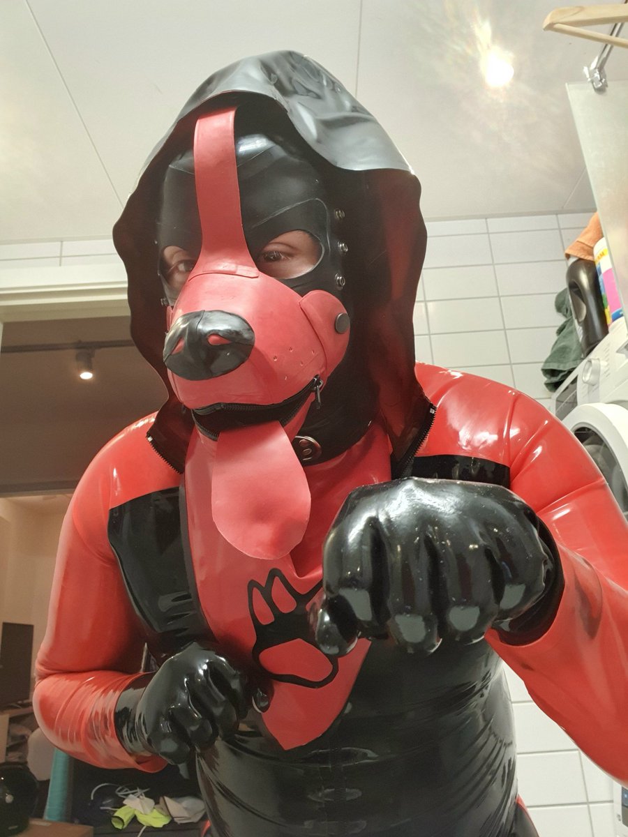 LDude92's tweet photo. Sniffing around while @ScruffyDK1986  was on the bone conference🐕🐶 https://t.co/gcsfoXBR5z