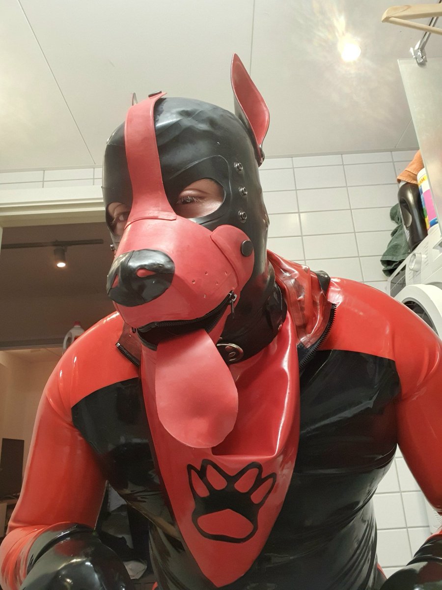 LDude92's tweet photo. Sniffing around while @ScruffyDK1986  was on the bone conference🐕🐶 https://t.co/gcsfoXBR5z