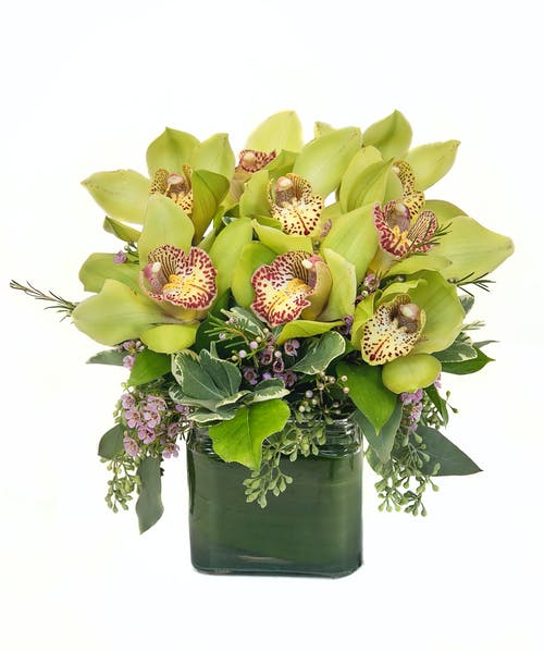 csflorist's tweet photo. Whether they are a #workboss, #friendboss, or #momboss, #𝗕𝗼𝘀𝘀𝗲𝘀𝗗𝗮𝘆 is right around the corner, so give them the thanks and recognition they deserve with our signature design of fresh #Orchids accented by with greenery and wax flower. 👍💐
https://t.co/Ni2fE7jK2T https://t.co/4obfjMMPOB