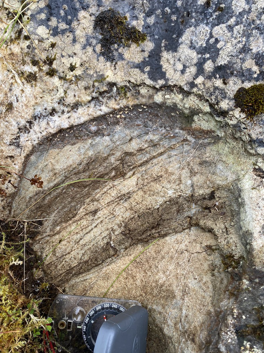 Up north having a look at the Borralan Carbonatite near Inchnadamph with Ghillie. #FieldWorkFriday #puppyforscale