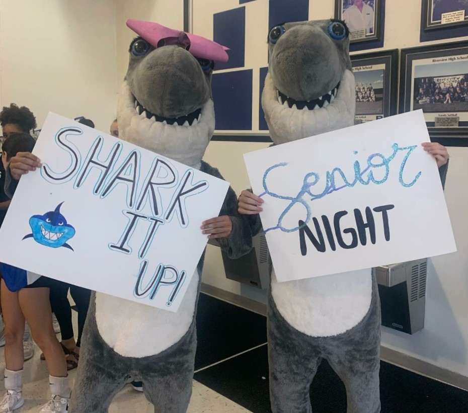 Team highlights from <a href="/rvsharksvball/">Sharks Volleyball</a> straight set win against Durant on Wed. We also celebrated our five Seniors and won our 12th straight match. Pretty good night!
#GoSharks🦈🏐

<a href="/Biggamebobby/">Bob Putnam</a> <a href="/VolleyballFanFL/">Volleyball Fan</a> 
hudl.com/v/2G3Y0A