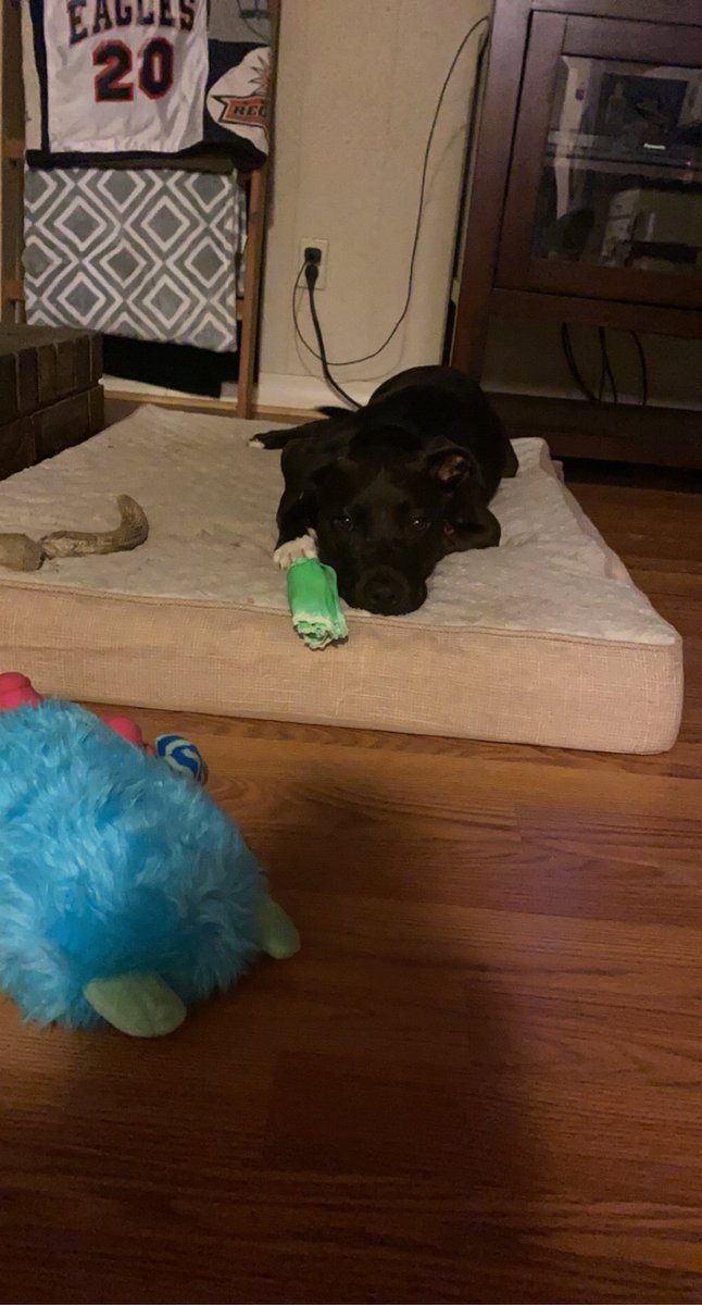 Jill Thomas tweet media