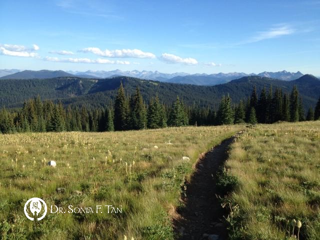 SoniaFTan's tweet image. Weekend wisdom: Life shrinks or expands in proportion to one&apos;s courage. -Anais Nin. 

#InspiringQuotes #GrowthAndLearning #Introspection