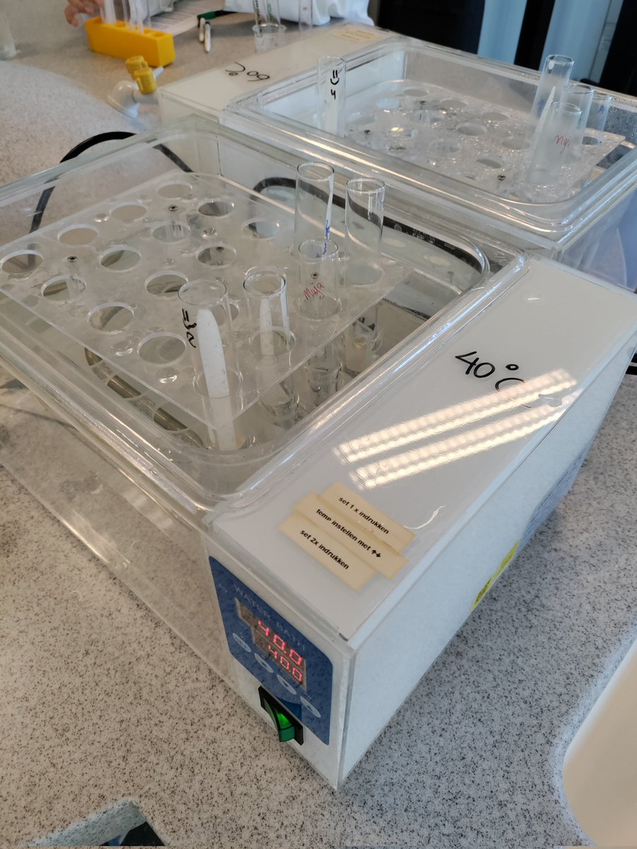 Irene Bos tweet media