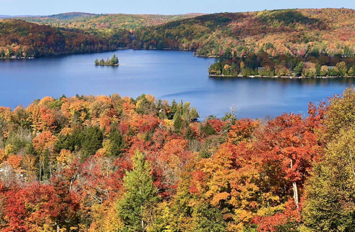 Marley enjoyed her hike today! Stunning views! <a href="/SirSamsSkiArea/">Sir Sam's Ski / Ride</a> <a href="/AnthonyFarnell/">Anthony Farnell</a> <a href="/StormWeatherDog/">StormtheWeatherDog</a>