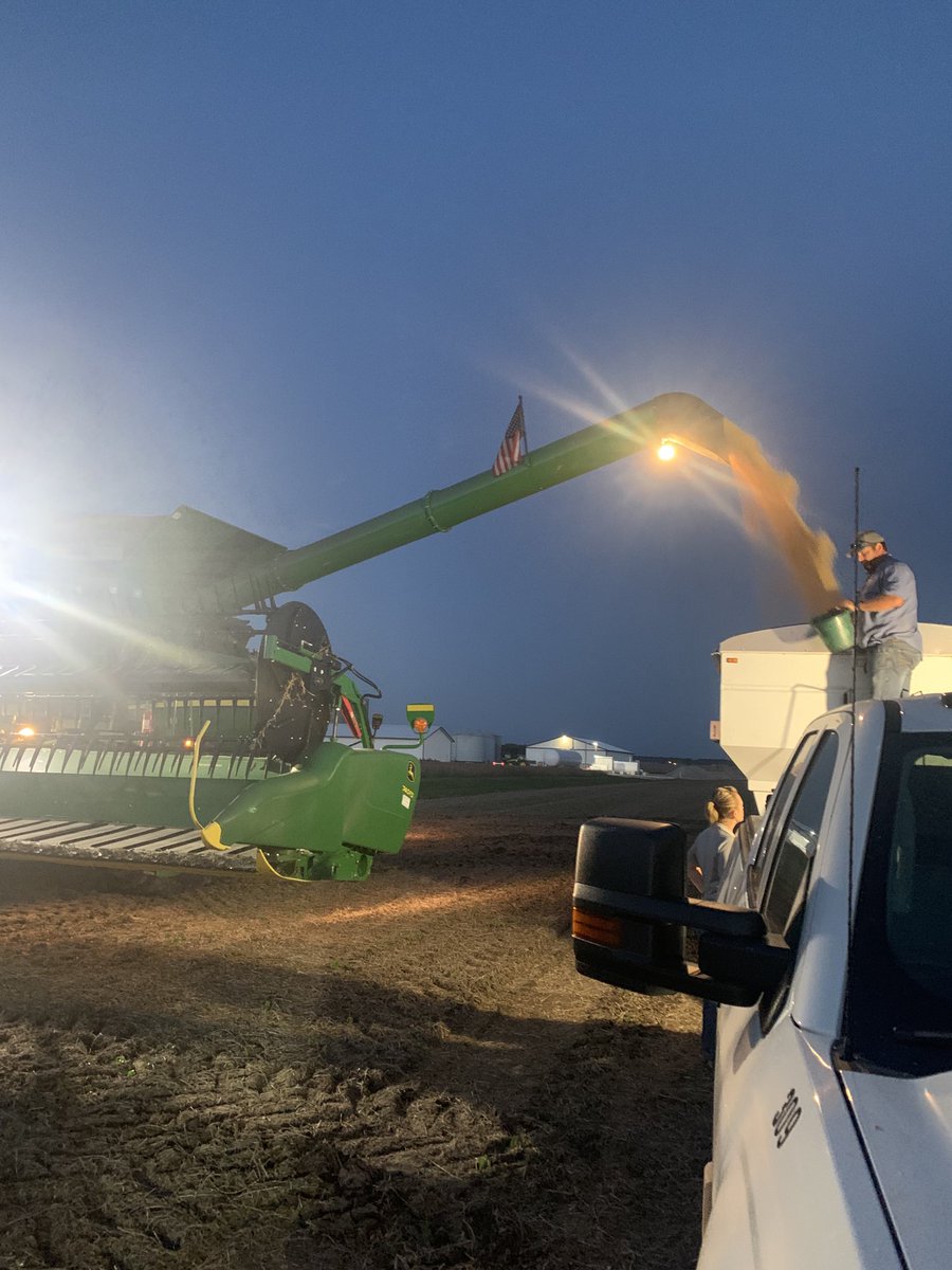 DanBeckman4's tweet photo. AG38XF1 shining under the lights at ⁦@wachtelfarms⁩ on this awesome October evening #Bayer4IL ⁦@DKAS_SIL⁩ https://t.co/tj9zBRlsCx