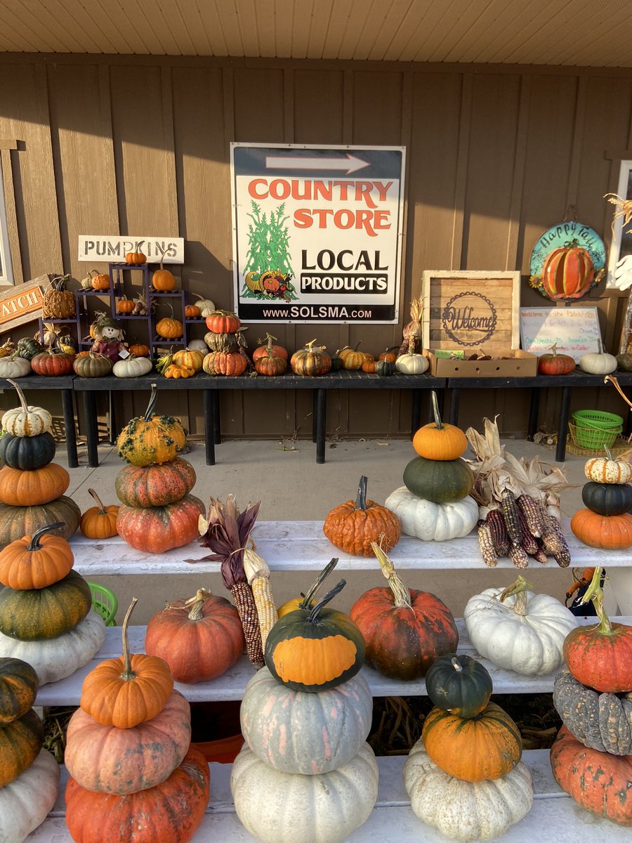 SabrinaMarieVS's tweet photo. Got to meet @AmySolsma and check out the cutest pumpkin patch ever after work. Went home with kettle corn, a candle, a sweatshirt, some pumpkins, wax melts, and cupcakes...Solsma’s Punkin Patch is a one-stop shop! https://t.co/0AI1hh2ouH