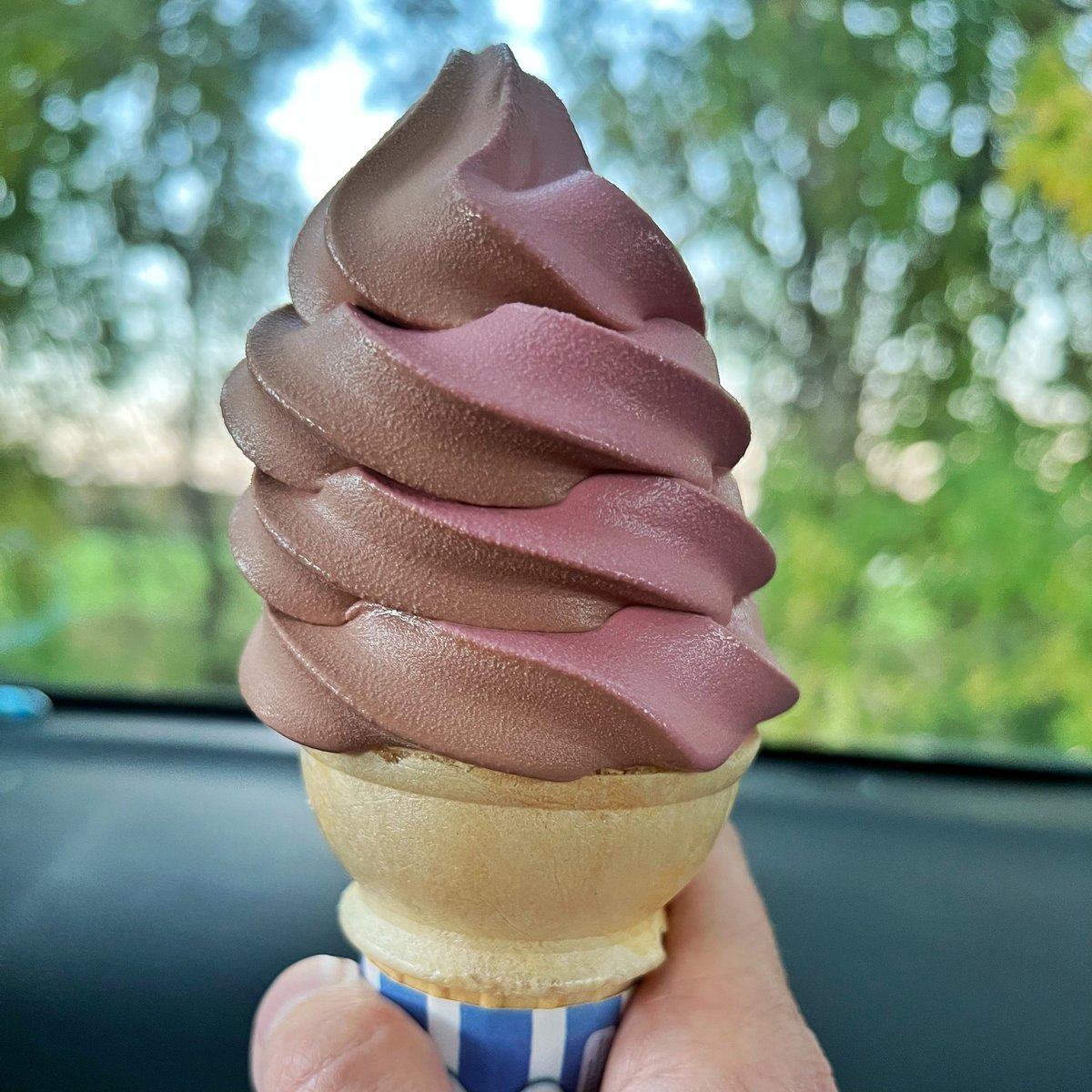 mmizejewski's tweet photo. Perhaps the best creemee of the season @PalmerLaneMaple: black cherry/chocolate swirl https://t.co/zJAnzVtlSK