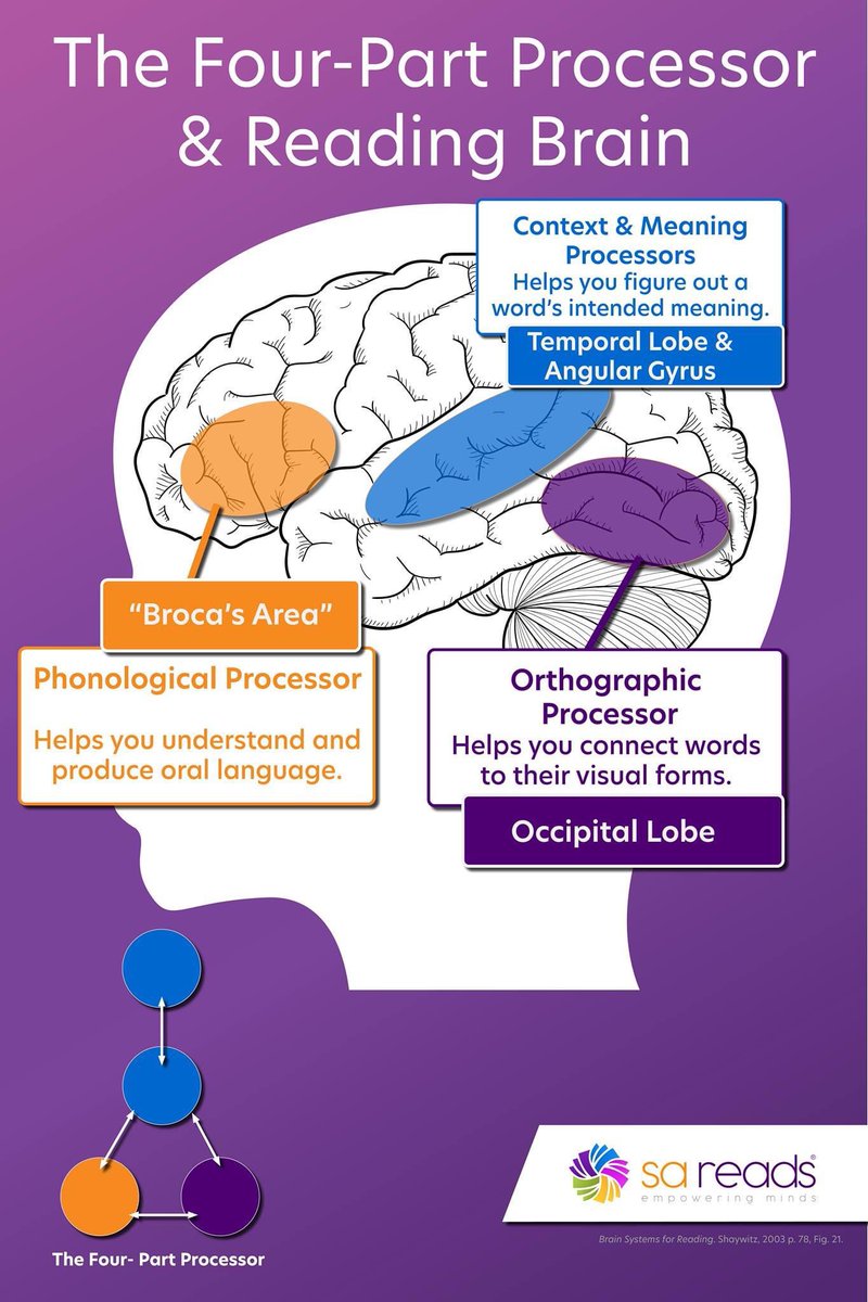 KLRux_Graves's tweet photo. Dyslexia Awareness Month @RISDSpecial https://t.co/SRTxjAHl2F