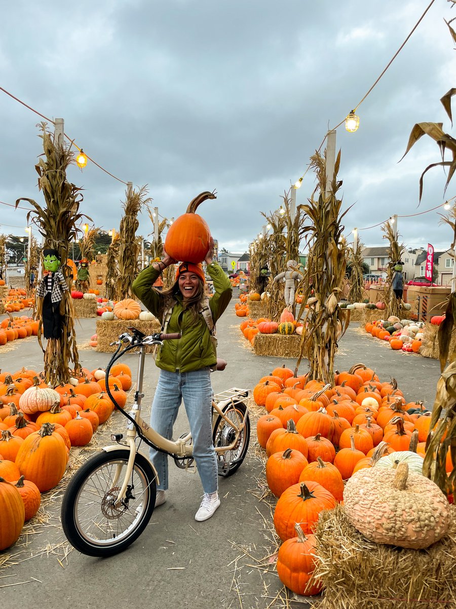 Wishing you a weekend full of fall colors, crisp weather, and time spent with friends. 🍂

📸 via badgirlsumsum on Instagram