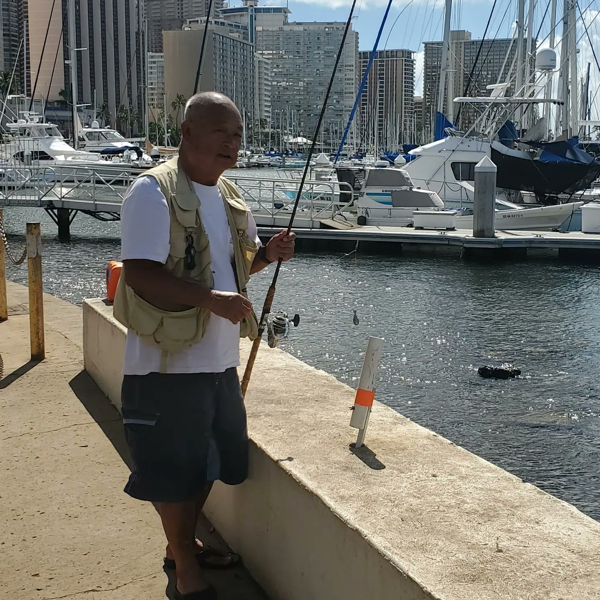 jlc123456's tweet photo. We love morning 'hikes' around #Waikiki We observe daily life of locals & visitors. Favs include fishing at the Ali Wai Marina. #surfing, #floatyoga @hiltonhawaiian hanging out @halekoahotel pool or just having family beach time in #AlaMoanaPark! #another6mileday 🚶♂️🚶♀️#activelife https://t.co/iTV3FDjNwq