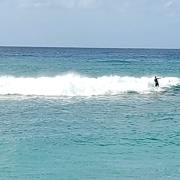 jlc123456's tweet photo. We love morning 'hikes' around #Waikiki We observe daily life of locals & visitors. Favs include fishing at the Ali Wai Marina. #surfing, #floatyoga @hiltonhawaiian hanging out @halekoahotel pool or just having family beach time in #AlaMoanaPark! #another6mileday 🚶♂️🚶♀️#activelife https://t.co/iTV3FDjNwq