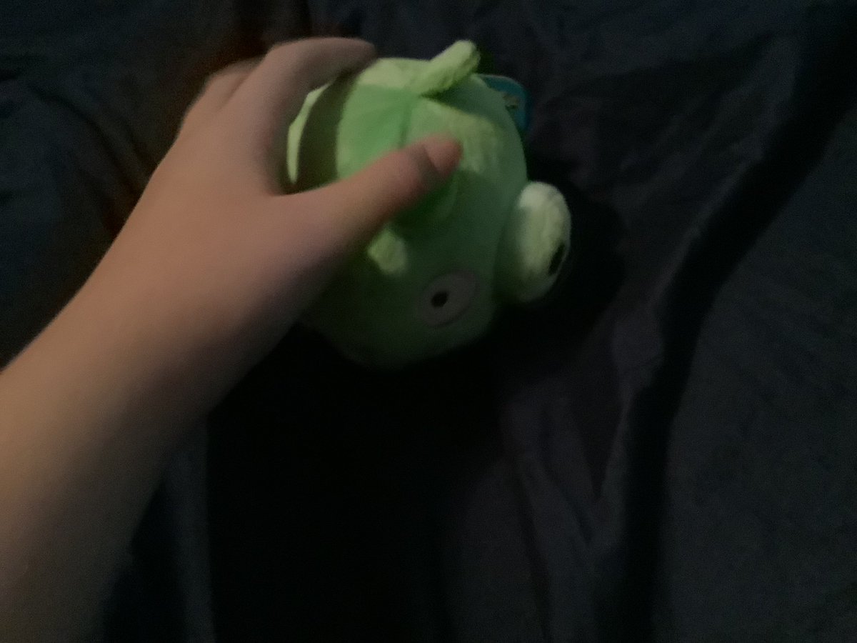 AngryPlushAlert's tweet photo. @Angryadventure2 https://t.co/SZormrRp1e
