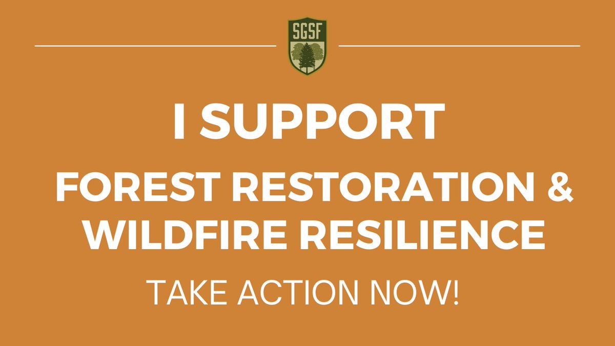 SGSF_Forests's tweet photo. (1 of 3) It is critical that the $40 billion slated for forest restoration and wildfire resilience in the reconciliation package is maintained. @SenateDems @HouseDems @SenSchumer @SpeakerPelosi @SenStabenow @repdavidscott #forestproud https://t.co/CHNKPcbElL