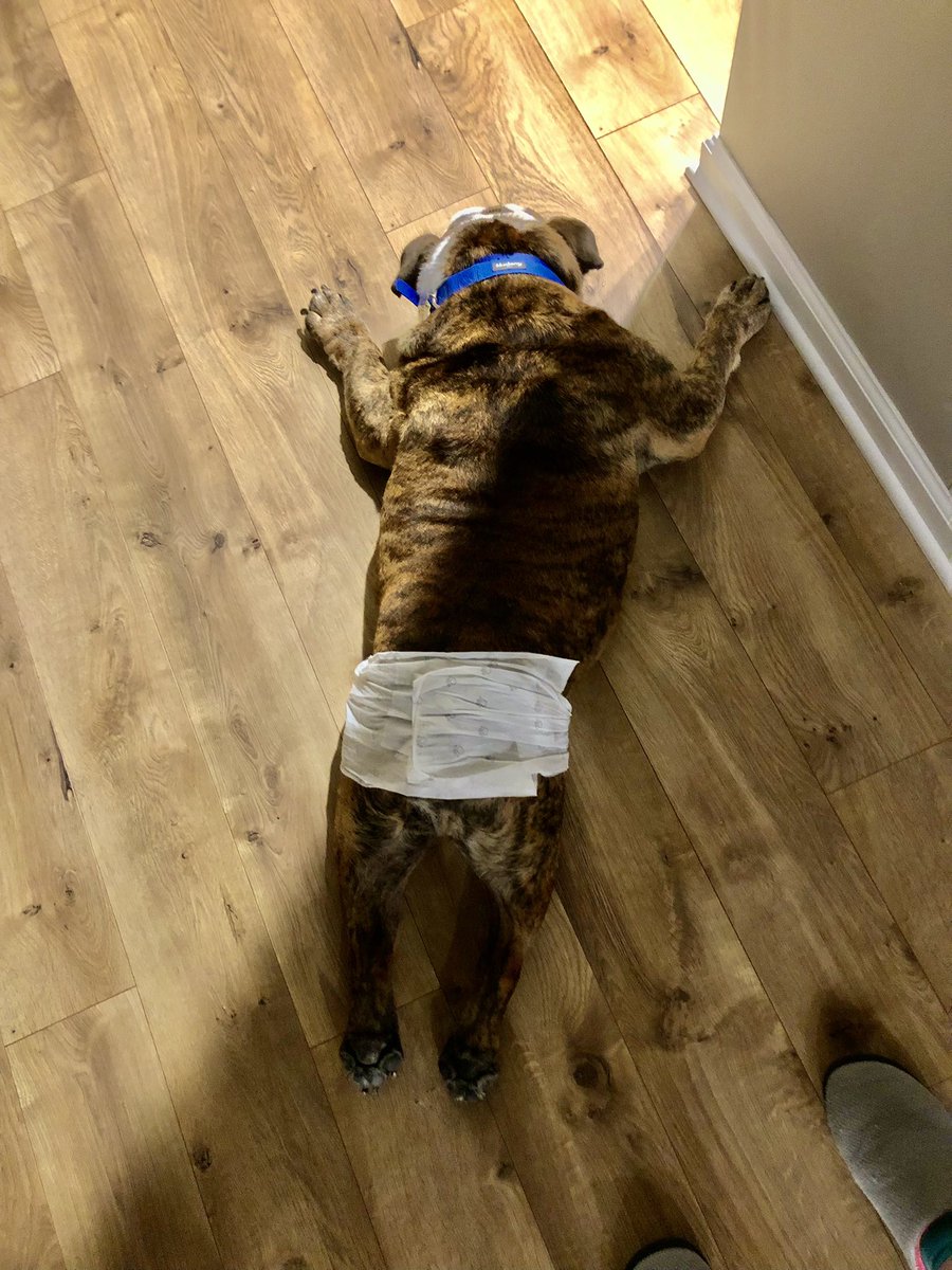 I’m comfy, move along.