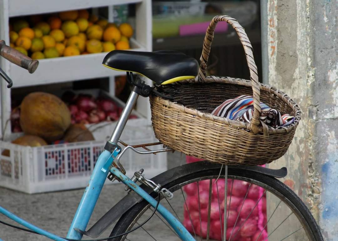 De compras con la clásica canasta 🧺  
La providencia lista para ser transportada en el 🚲 caballito de acero
#vilcabamba
provincia de #Loja