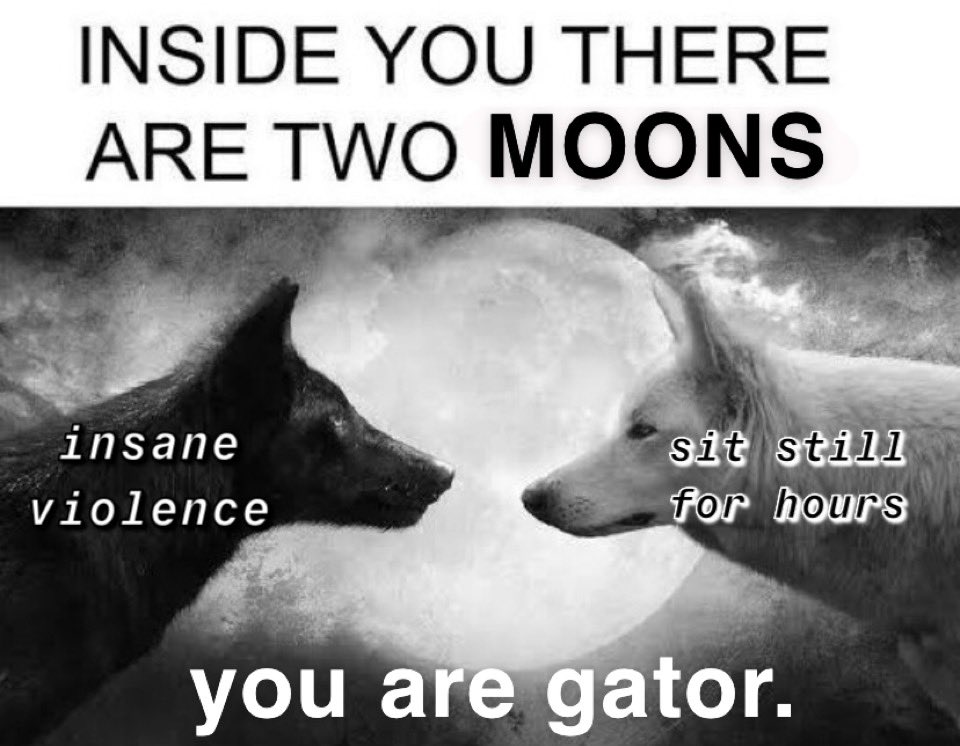 michaelaokla1's tweet image. 