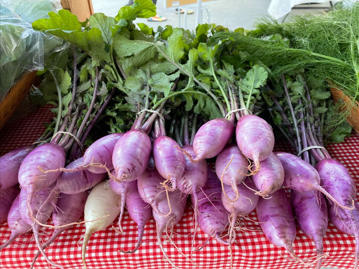 Midtown Farmers Market tweet media