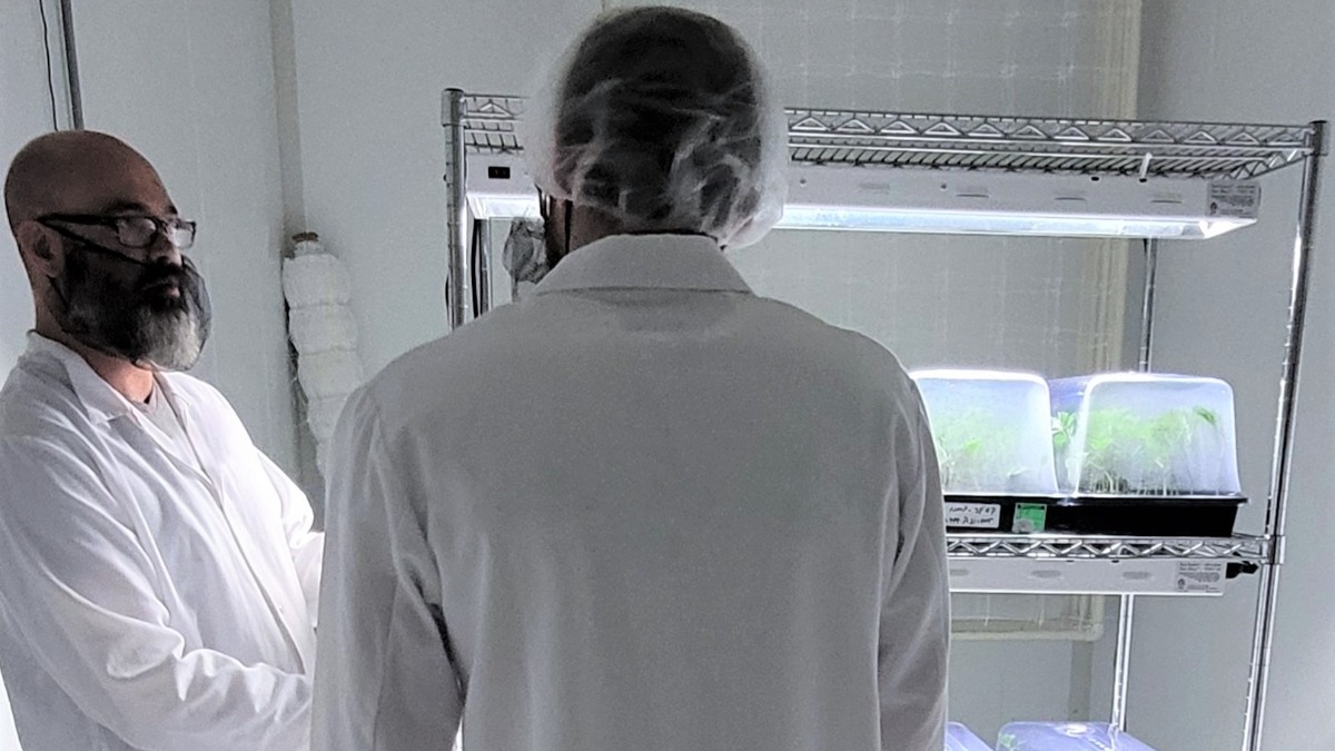 A chat of the clones #realcraftflower #partakecannabis #thelocalcannabist #Partakeinatour