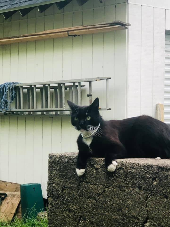 Lea 🦀 tweet media