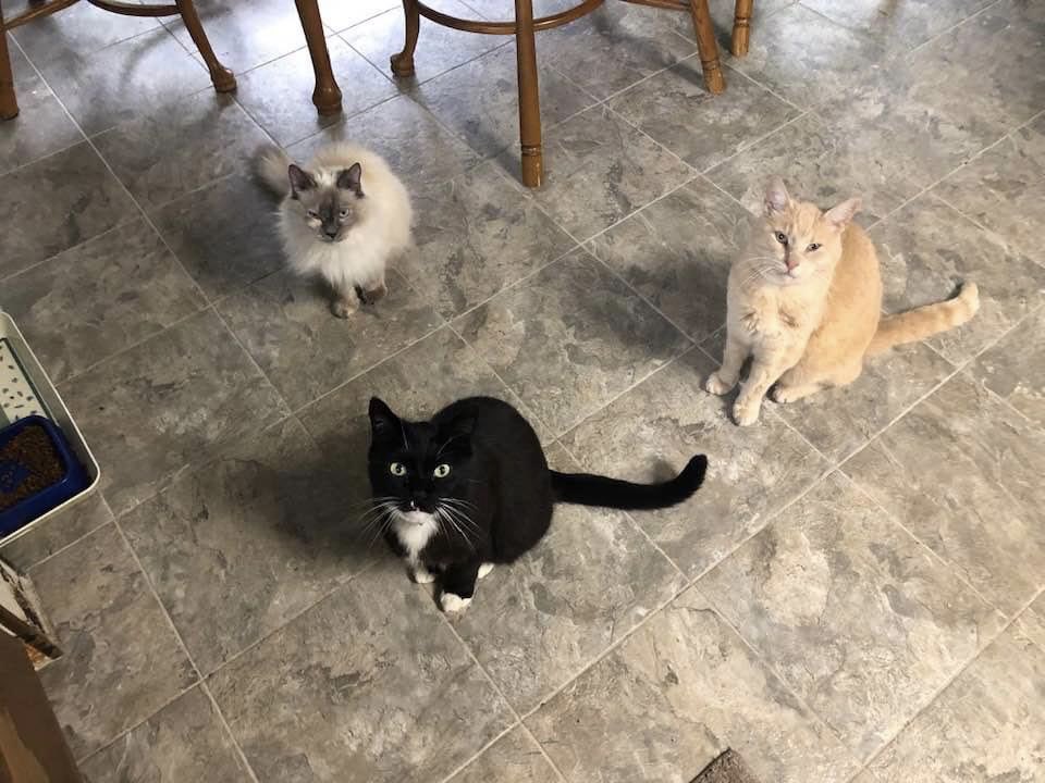 Lea 🦀 tweet media